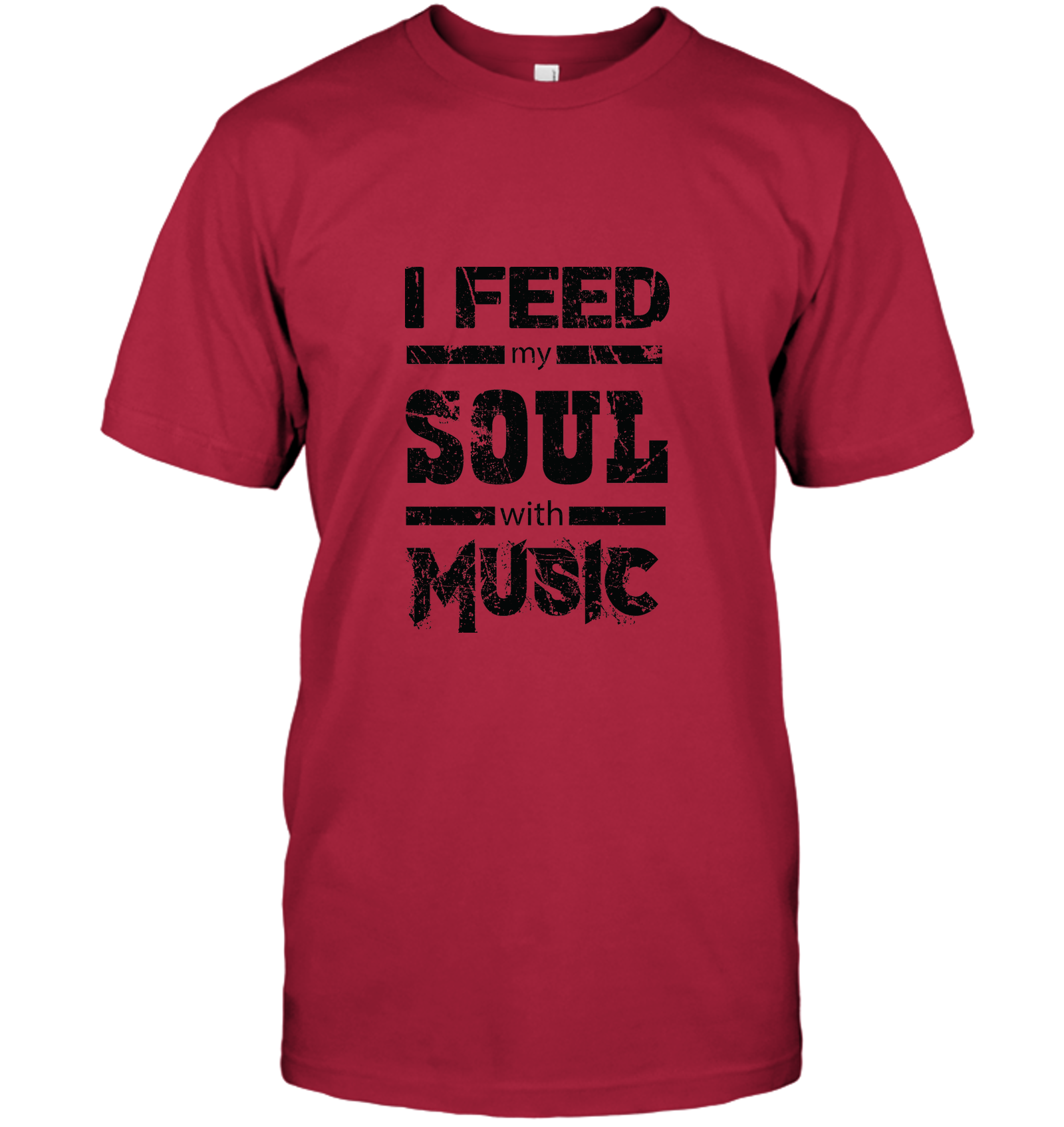 I Feed My Soul With Music - Hanes Adult Tagless® T-Shirt